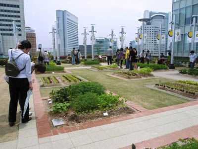 大阪駅　天空の農園